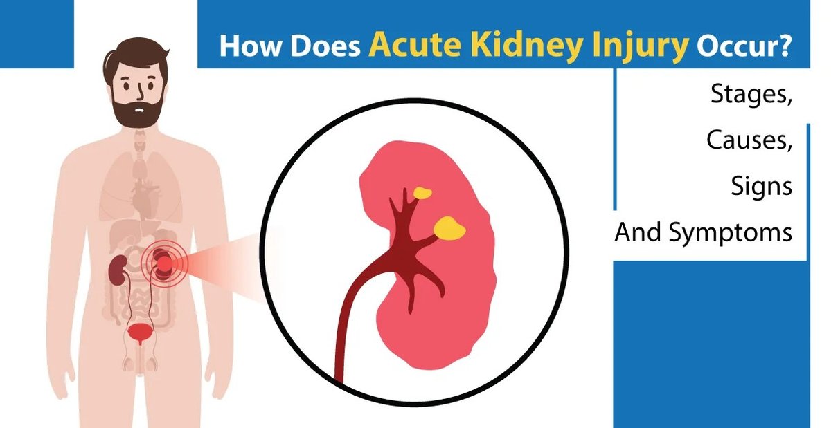 Aki Hayakawa In Sword Art Online Explained In Detail